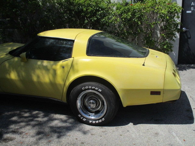 1979 Chevrolet Corvette - photo 10