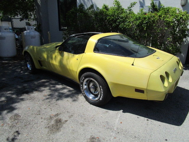 1979 Chevrolet Corvette - photo 11