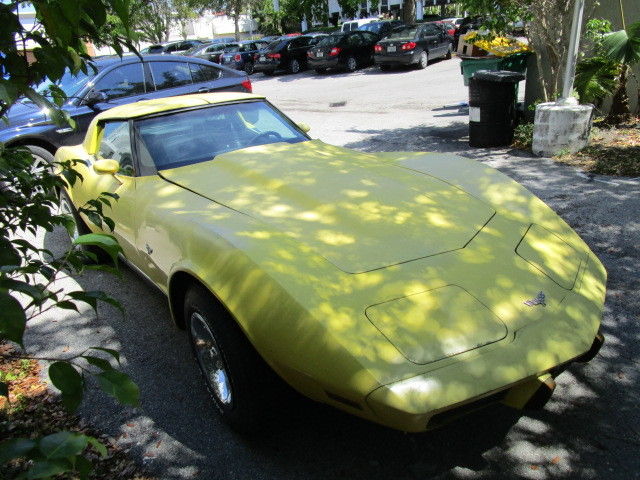 1979 Chevrolet Corvette - photo 2