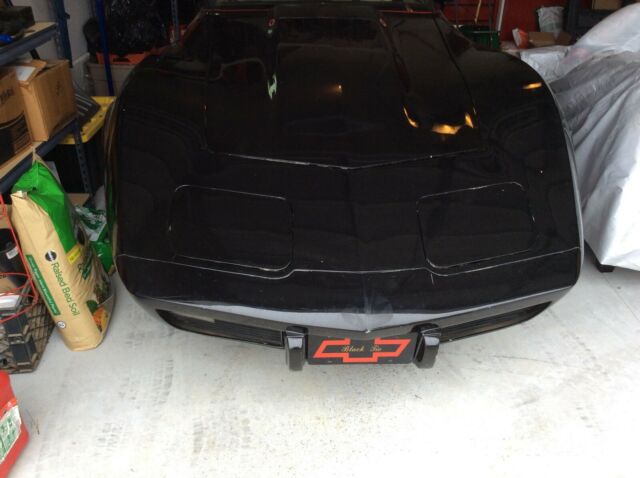 1979 Chevrolet Corvette base - photo 2