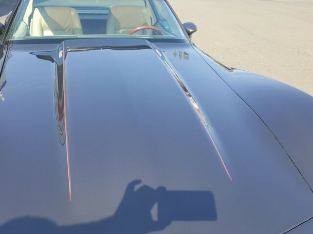 1979 Chevrolet Corvette - photo 6