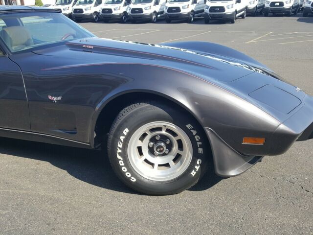 1979 Chevrolet Corvette - photo 9