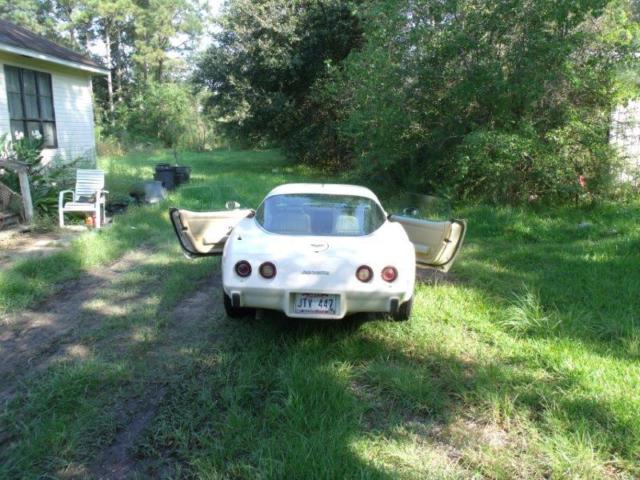 1979 Chevrolet Corvette - photo 3