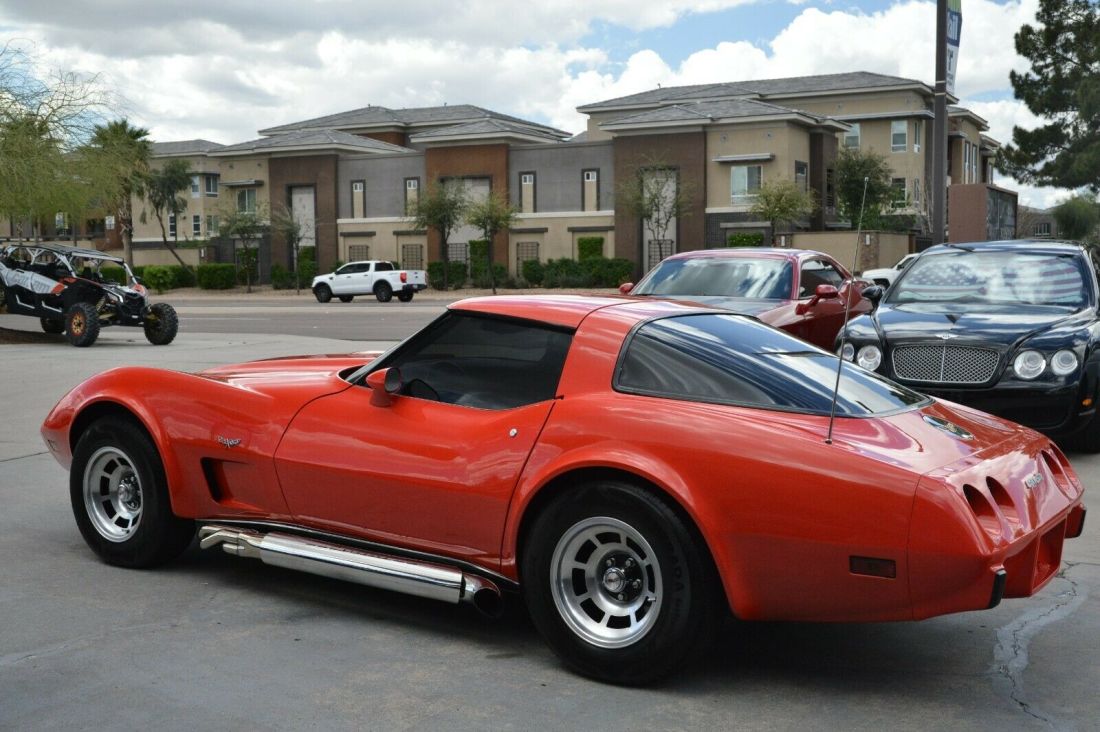 1979 Chevrolet Corvette COUP - photo 8