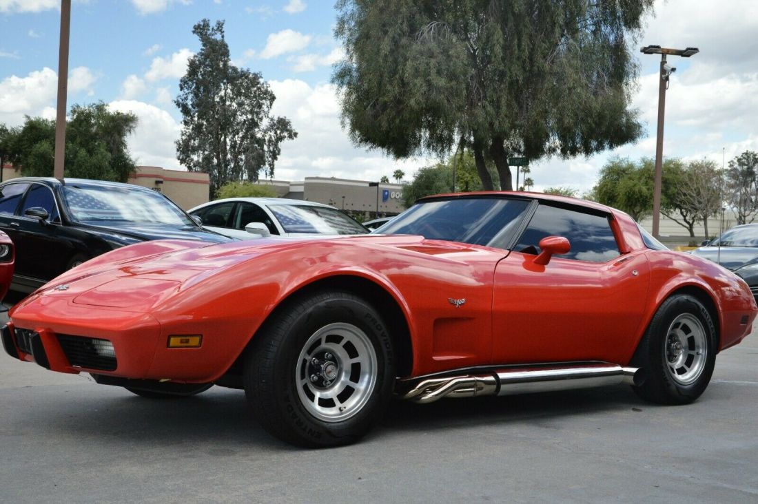 1979 Chevrolet Corvette COUP - photo 9