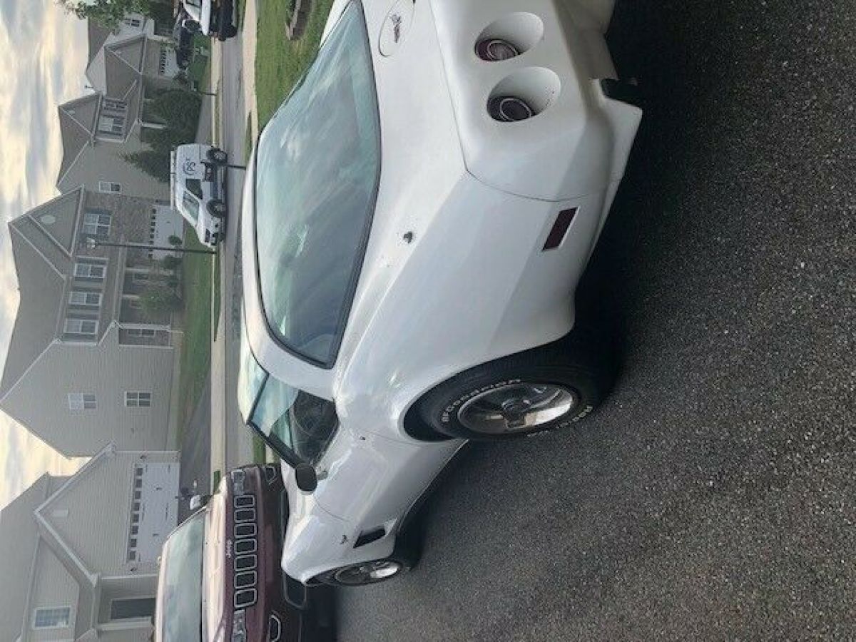 1979 Chevrolet Corvette - photo 5