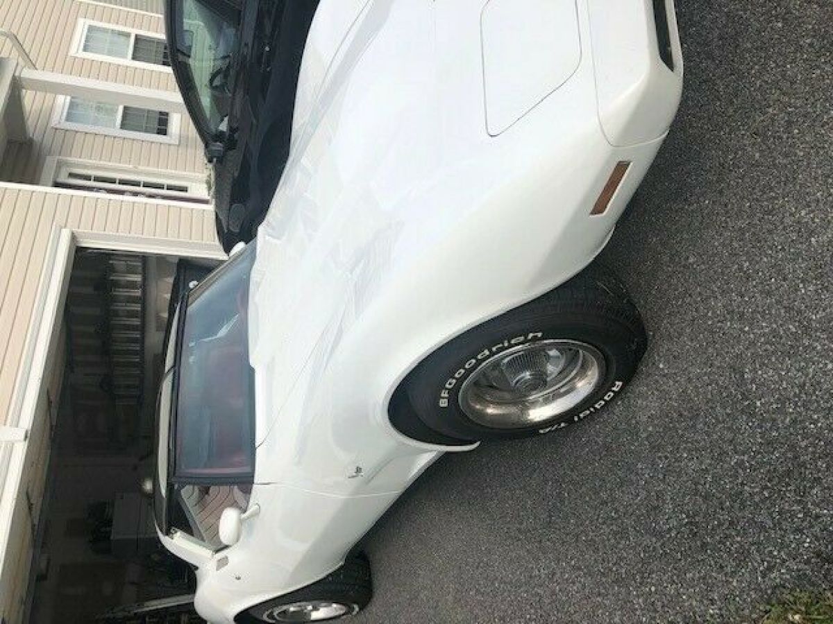 1979 Chevrolet Corvette - photo 9