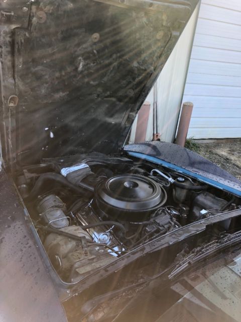 1979 Chevrolet Corvette - photo 5