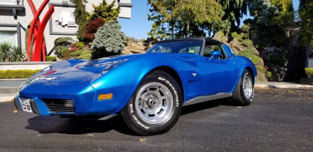 1979 Chevrolet Corvette L48 - photo 10