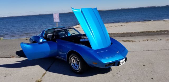 1979 Chevrolet Corvette L48 - photo 3