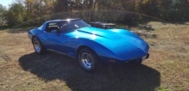 1979 Chevrolet Corvette L48 - photo 8