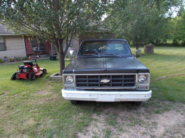 1979 Chevrolet C-10 CUSTOM DELUXE - photo 2