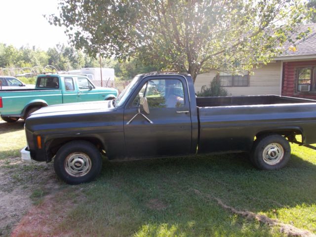 1979 Chevrolet C-10 CUSTOM DELUXE - photo 3