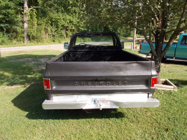 1979 Chevrolet C-10 CUSTOM DELUXE - photo 4