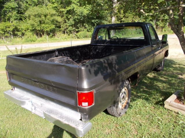 1979 Chevrolet C-10 CUSTOM DELUXE - photo 6