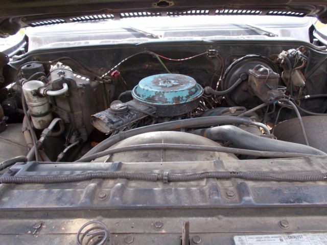 1979 Chevrolet C-10 CUSTOM DELUXE - photo 8