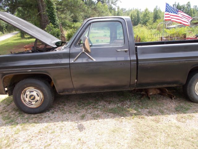 1979 Chevrolet C-10 CUSTOM DELUXE - photo 9