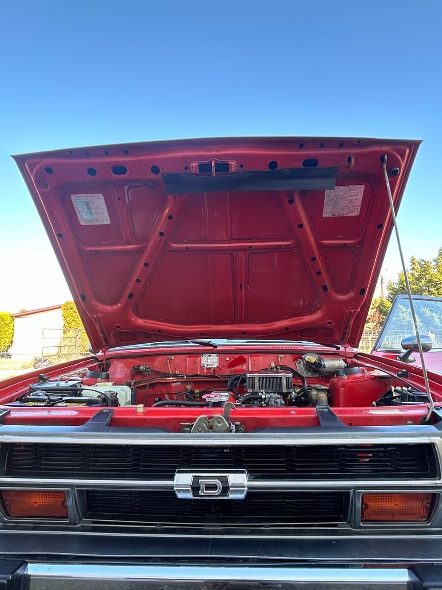1979 Datsun Other - photo 9