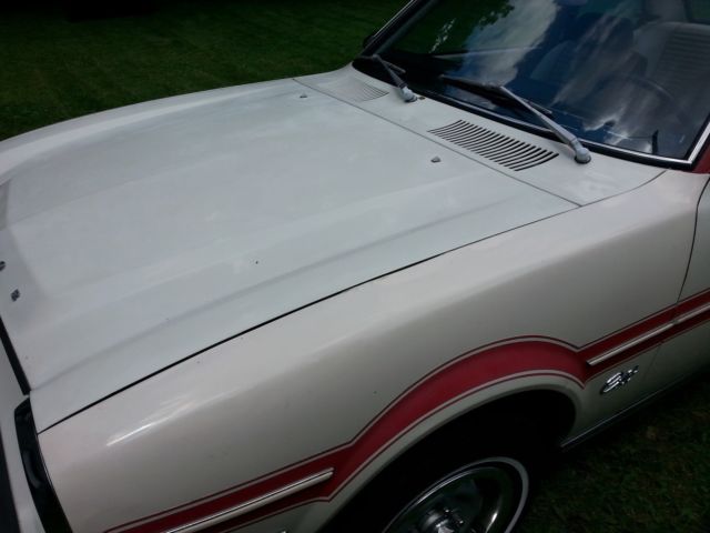 1979 Dodge Colt red and white special edition - photo 10
