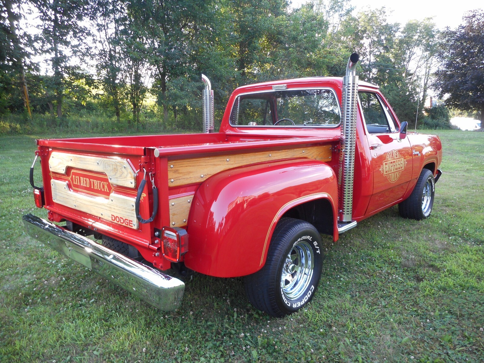 1979 Dodge Other Pickups - photo 5