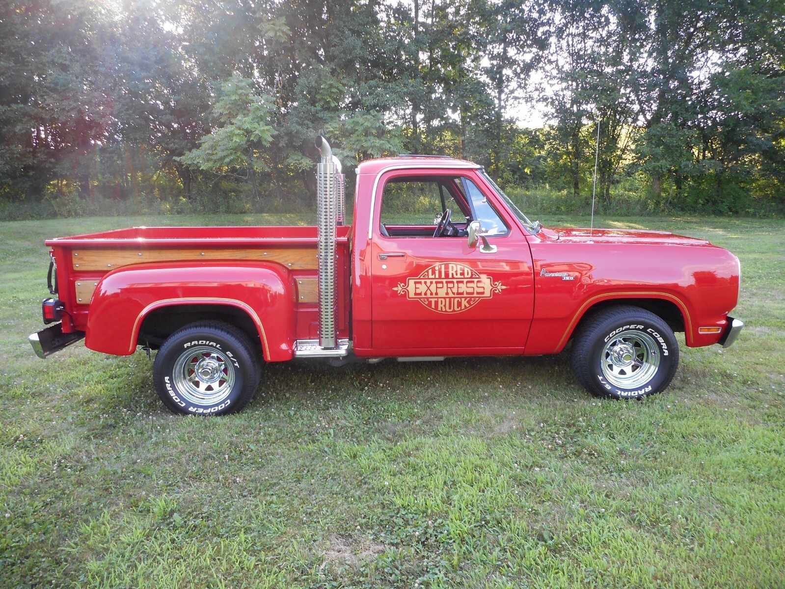 1979 Dodge Other Pickups - photo 6