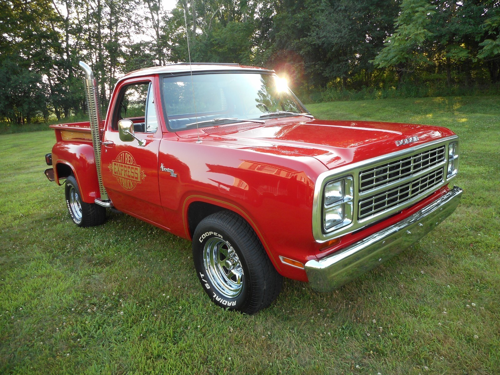 1979 Dodge Other Pickups - photo 7
