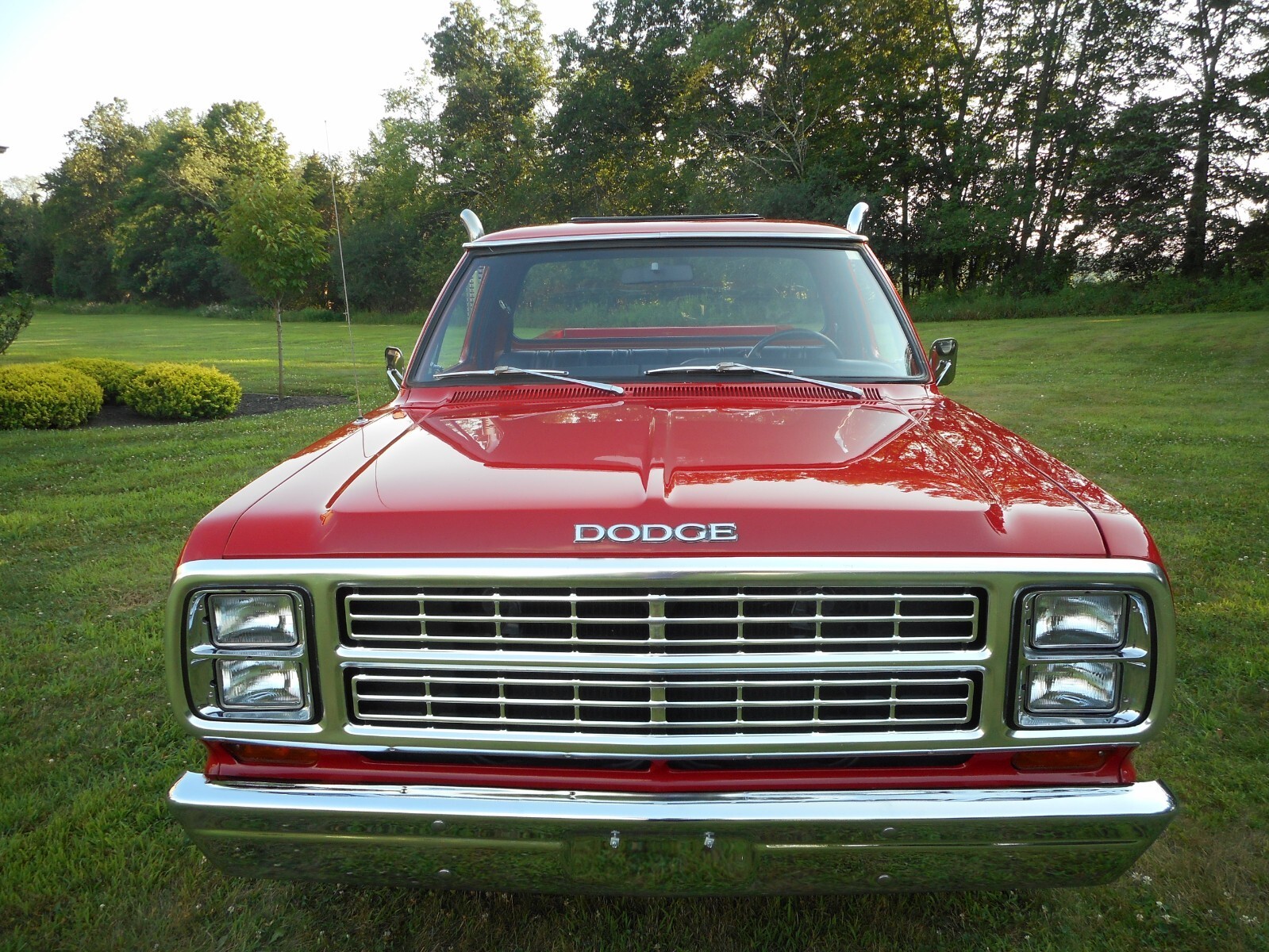 1979 Dodge Other Pickups - photo 8