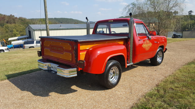1979 Dodge Other Pickups - photo 8
