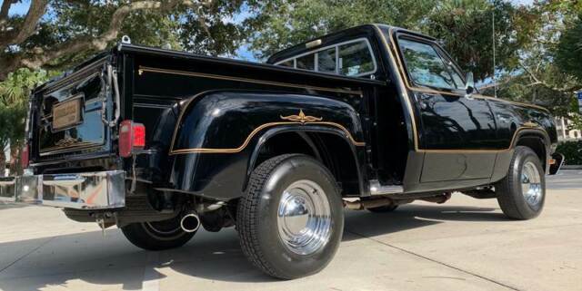 1979 Dodge Other Pickups Warlock - photo 11