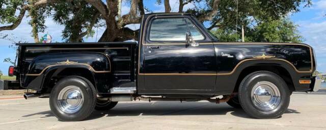 1979 Dodge Other Pickups Warlock - photo 12