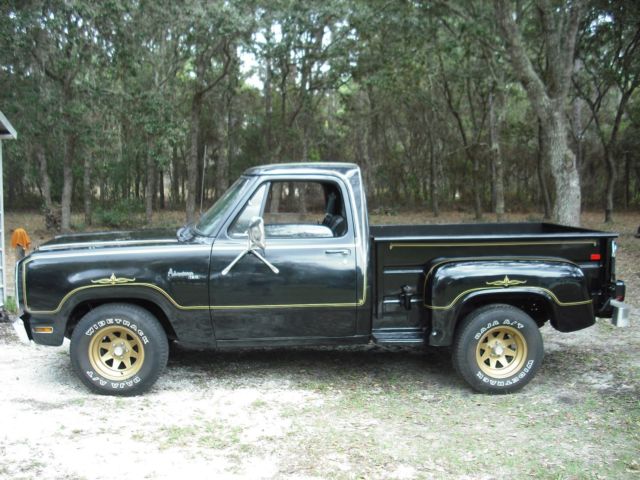 1979 dodge d150 stepside 1979 Dodge Other Pickups