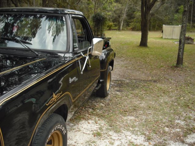 1979 Dodge Other Pickups - photo 12
