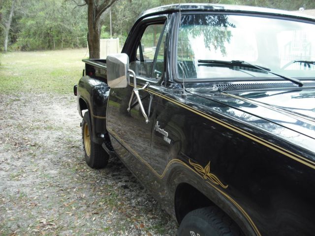 1979 Dodge Other Pickups - photo 13