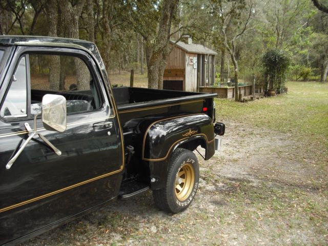 1979 Dodge Other Pickups - photo 2