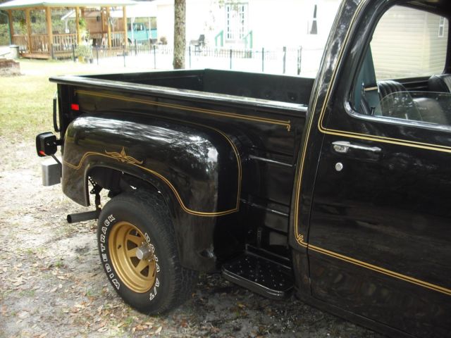 1979 Dodge Other Pickups - photo 4