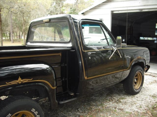 1979 Dodge Other Pickups - photo 6