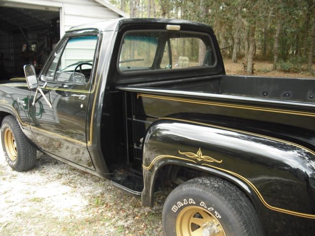 1979 Dodge Other Pickups - photo 7