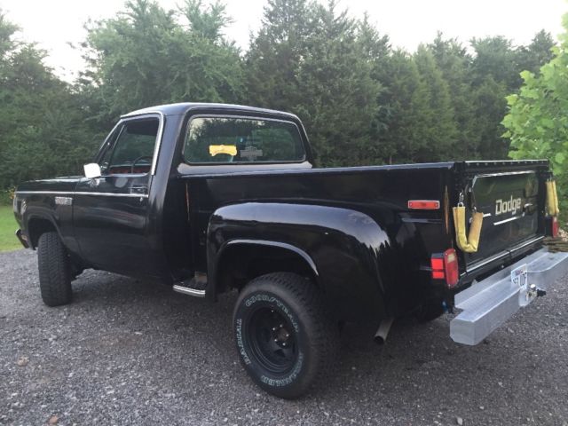 1979 Dodge Power Wagon - photo 6