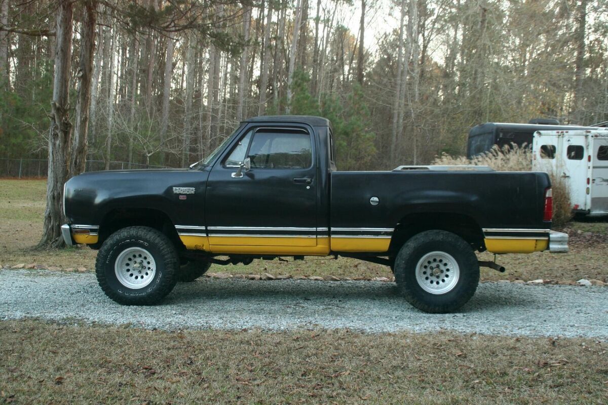 1979 Dodge Power Wagon - photo 5