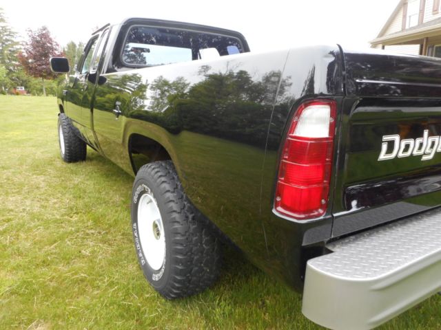 1979 Dodge Power Wagon pickup - photo 8