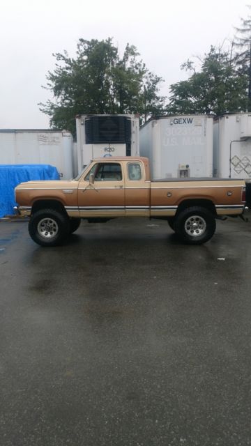 1979 Dodge Power Wagon ADVENTURE LE - photo 3
