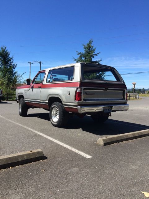 1979 Dodge Ramcharger SE - photo 3