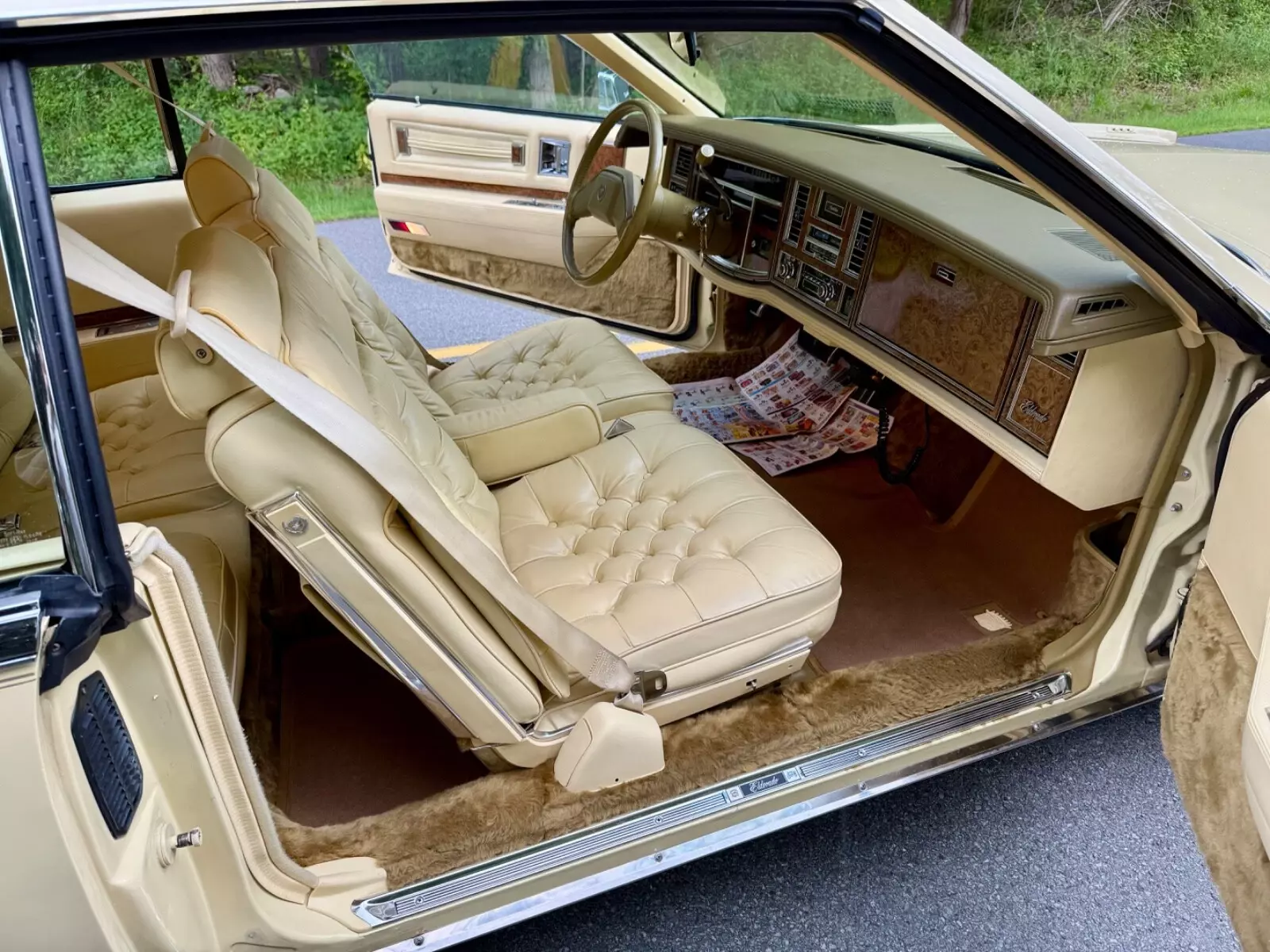 1979 Cadillac Eldorado - photo 13