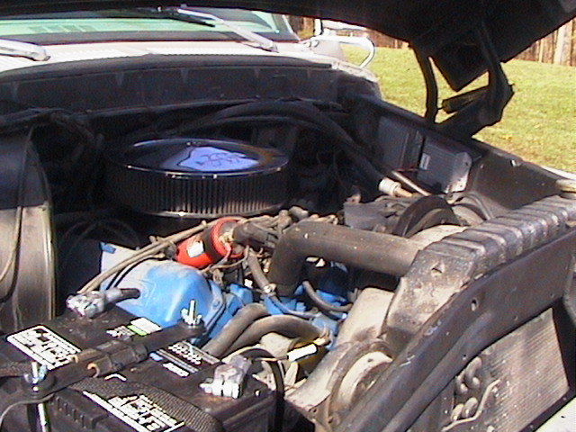 1979 Ford F-150 - photo 4