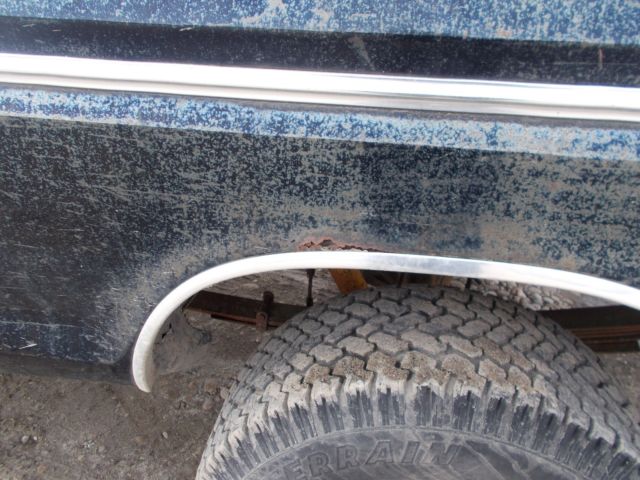 1979 Ford F-150 RANGER - photo 6