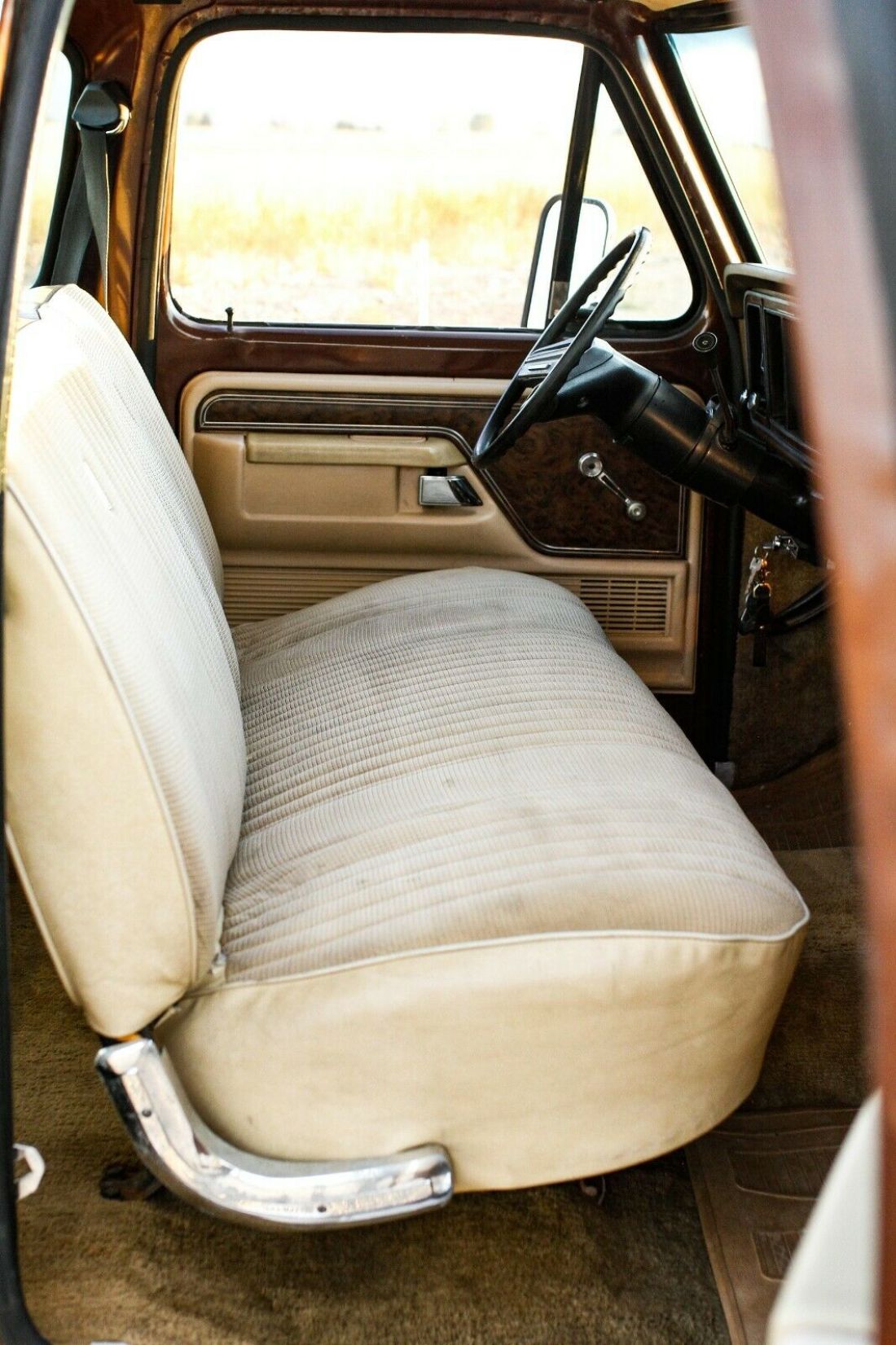 1979 Ford F-250 - photo 13