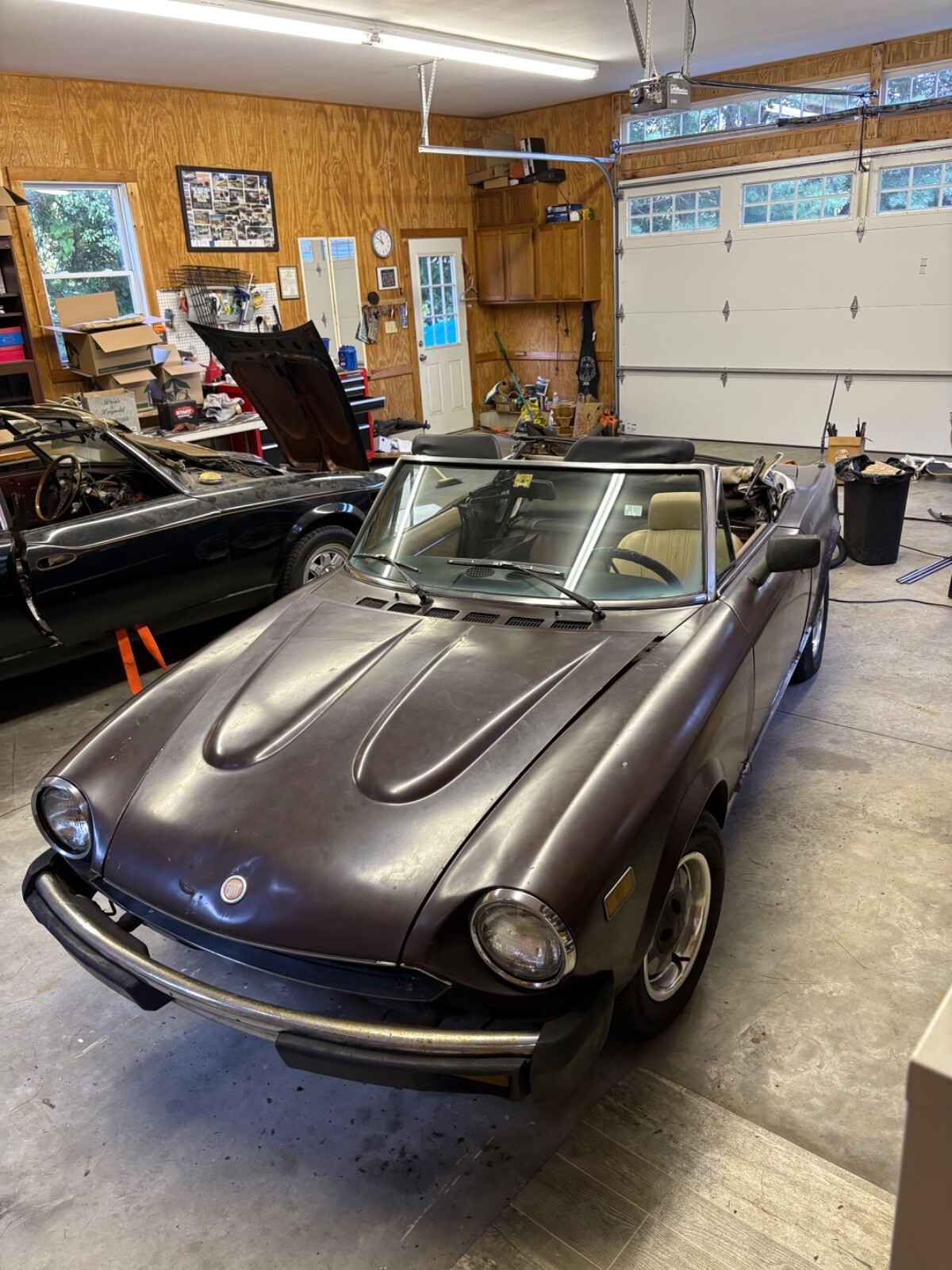 1979 Fiat 124 Sport Spider 2000 - photo 6