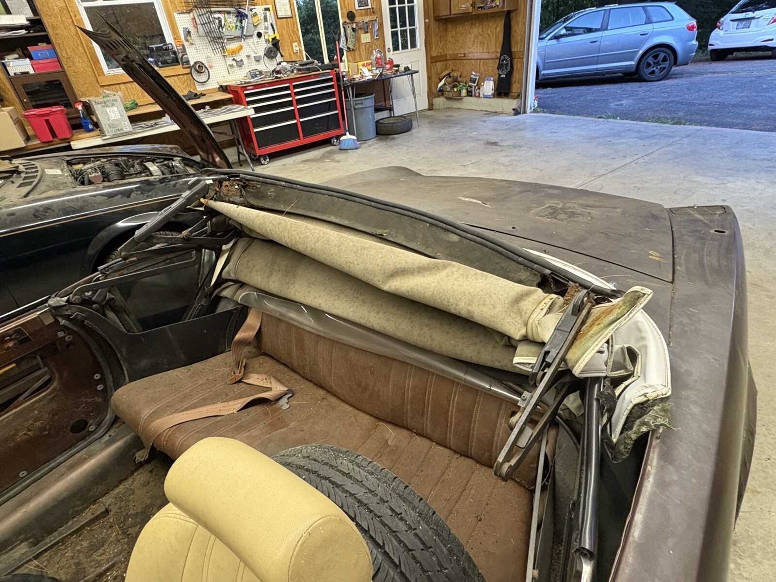 1979 Fiat 124 Sport Spider 2000 - photo 5