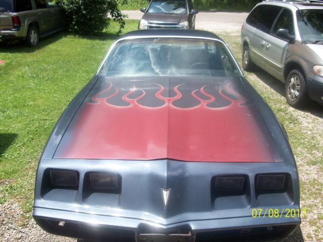 1979 Pontiac Firebird Esprit - photo 8