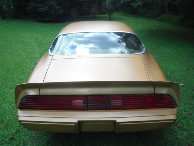 1979 Pontiac Firebird - photo 12